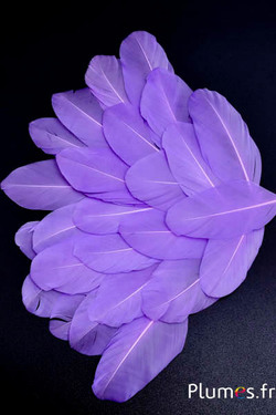 Blütenblätter aus Federn - 6-8 cm x 3-4 cm- flieder